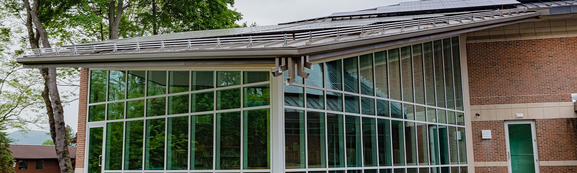 AceClamp Snow Guards