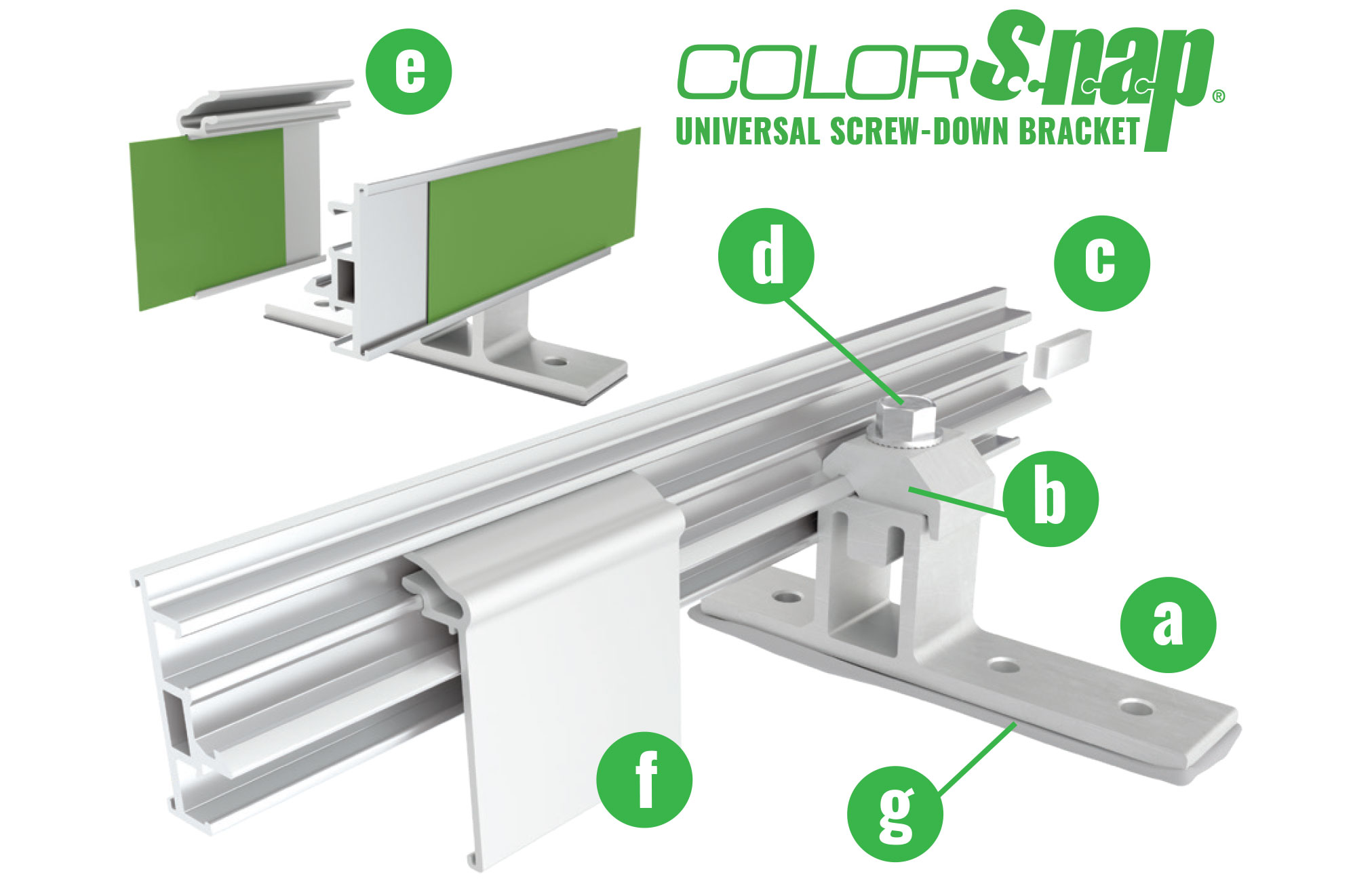 Color Snap Universal Snow Guard